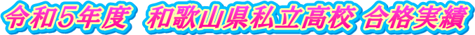 �ߘa�T�N�x�@�a�̎R���������Z ���i����